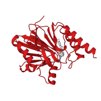 The deposited structure of PDB entry 1a8t contains 2 copies of CATH domain 3.60.15.10 (Metallo-beta-lactamase; Chain A) in Metallo-beta-lactamase type 2. Showing 1 copy in chain A.
