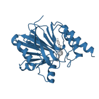 The deposited structure of PDB entry 1a8t contains 2 copies of SCOP domain 56282 (Zn metallo-beta-lactamase) in Metallo-beta-lactamase type 2. Showing 1 copy in chain A.