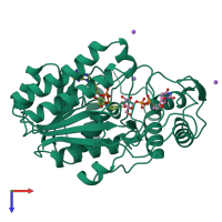 PDB entry 1a9y coloured by chain, top view.