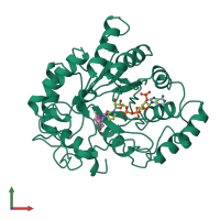 PDB entry 1ah0 coloured by chain, front view.