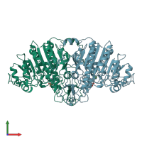 PDB entry 1ali coloured by chain, front view.
