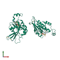 Homo dimeric assembly 1 of PDB entry 1an0 coloured by chemically distinct molecules, front view.