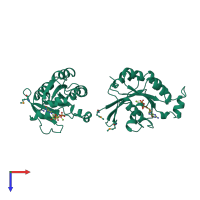 Homo dimeric assembly 1 of PDB entry 1an0 coloured by chemically distinct molecules, top view.