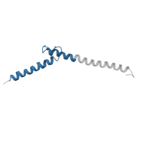 The deposited structure of PDB entry 1an2 contains 1 copy of Pfam domain PF00010 (Helix-loop-helix DNA-binding domain) in Protein max. Showing 1 copy in chain B [auth A].