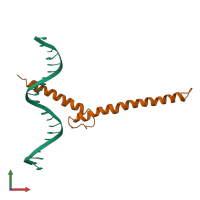 PDB entry 1an2 coloured by chain, front view.