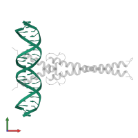 DNA (5'-D(*GP*TP*GP*TP*AP*GP*GP*TP*CP*AP*CP*GP*TP*GP*AP*CP*C P*TP*AP*CP*AP*C)- 3') in PDB entry 1an2, assembly 1, front view.