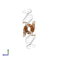 Protein max in PDB entry 1an2, assembly 1, side view.
