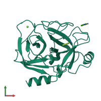 PDB entry 1anc coloured by chain, front view.
