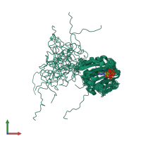 PDB entry 1ap8 coloured by chain, ensemble of 20 models, front view.