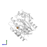 COPPER (II) ION in PDB entry 1arm, assembly 1, side view.