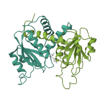 The deposited structure of PDB entry 1at1 contains 4 copies of SCOP domain 53672 (Aspartate/ornithine carbamoyltransferase) in Aspartate carbamoyltransferase catalytic subunit. Showing 2 copies in chain A.