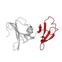 The deposited structure of PDB entry 1at1 contains 2 copies of CATH domain 2.30.30.20 (SH3 type barrels.) in Aspartate carbamoyltransferase regulatory chain. Showing 1 copy in chain B.