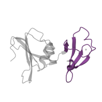 The deposited structure of PDB entry 1at1 contains 2 copies of Pfam domain PF02748 (Aspartate carbamoyltransferase regulatory chain, metal binding domain) in Aspartate carbamoyltransferase regulatory chain. Showing 1 copy in chain B.