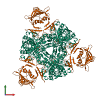 Hetero dodecameric assembly 1 of PDB entry 1at1 coloured by chemically distinct molecules, front view.