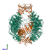 Hetero dodecameric assembly 1 of PDB entry 1at1 coloured by chemically distinct molecules, side view.