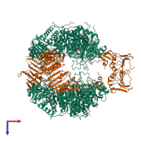 Hetero dodecameric assembly 1 of PDB entry 1at1 coloured by chemically distinct molecules, top view.