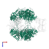 Aspartate carbamoyltransferase catalytic subunit in PDB entry 1at1, assembly 1, top view.