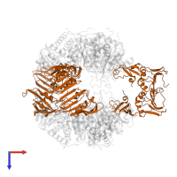 Aspartate carbamoyltransferase regulatory chain in PDB entry 1at1, assembly 1, top view.