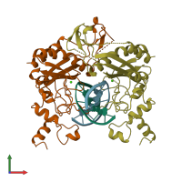 PDB entry 1az0 coloured by chain, front view.