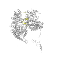 The deposited structure of PDB entry 1b0p contains 2 copies of CATH domain 4.10.780.10 (Pyruvate-ferredoxin Oxidoreductase; domain 4) in Pyruvate:ferredoxin oxidoreductase. Showing 1 copy in chain A.