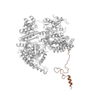 The deposited structure of PDB entry 1b0p contains 2 copies of CATH domain 4.10.790.10 (Pyruvate-ferredoxin Oxidoreductase; domain 7) in Pyruvate:ferredoxin oxidoreductase. Showing 1 copy in chain A.