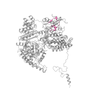 The deposited structure of PDB entry 1b0p contains 2 copies of Pfam domain PF00037 (4Fe-4S binding domain) in Pyruvate:ferredoxin oxidoreductase. Showing 1 copy in chain A.