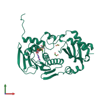 3D model of 1b63 from PDBe