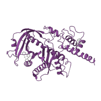 The deposited structure of PDB entry 1b7e contains 1 copy of SCOP domain 53115 (Transposase inhibitor (Tn5 transposase)) in Transposase for transposon Tn5. Showing 1 copy in chain A.