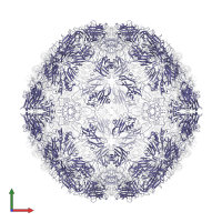 Capsid proteins P88 in PDB entry 1bbt, assembly 1, front view.