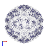 Capsid proteins P88 in PDB entry 1bbt, assembly 1, top view.