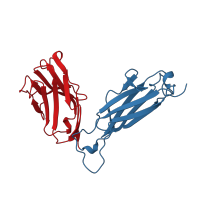 The deposited structure of PDB entry 1bec contains 2 copies of CATH domain 2.60.40.10 (Immunoglobulin-like) in 14.3.D T CELL ANTIGEN RECEPTOR. Showing 2 copies in chain A.