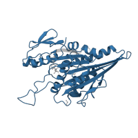 The deposited structure of PDB entry 1bg2 contains 1 copy of Pfam domain PF00225 (Kinesin motor domain) in Kinesin-1 heavy chain. Showing 1 copy in chain A.