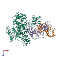 PDB entry 1bgx coloured by chain, top view.