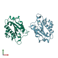 PDB entry 1bho coloured by chain, front view.