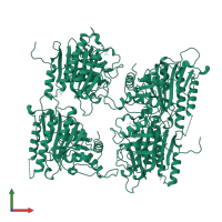 Fructose-1,6-bisphosphatase 1 in PDB entry 1bk4, assembly 1, front view.