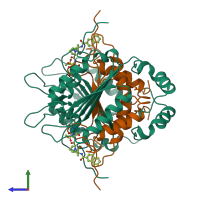 Hetero tetrameric assembly 2 of PDB entry 1bmq coloured by chemically distinct molecules, side view.