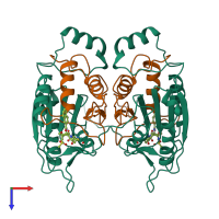 Hetero tetrameric assembly 2 of PDB entry 1bmq coloured by chemically distinct molecules, top view.