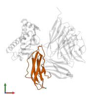 Beta-2-microglobulin in PDB entry 1bqh, assembly 1, front view.