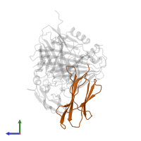 Beta-2-microglobulin in PDB entry 1bqh, assembly 1, side view.
