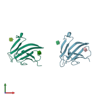 PDB entry 1bte coloured by chain, front view.