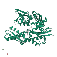 Heat shock cognate 71 kDa protein in PDB entry 1bup, assembly 1, front view.