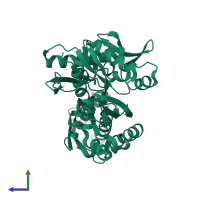 Heat shock cognate 71 kDa protein in PDB entry 1bup, assembly 1, side view.