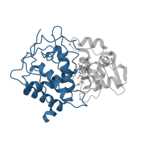The deposited structure of PDB entry 1bva contains 1 copy of CATH domain 1.10.520.10 (Peroxidase; domain 1) in Cytochrome c peroxidase, mitochondrial. Showing 1 copy in chain A.