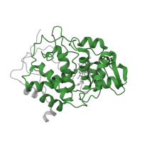 The deposited structure of PDB entry 1bva contains 1 copy of Pfam domain PF00141 (Peroxidase) in Cytochrome c peroxidase, mitochondrial. Showing 1 copy in chain A.