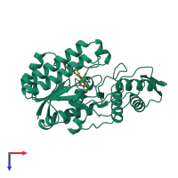 PDB entry 1bws coloured by chain, top view.