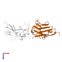 PROTEIN (ANTIBODY CAB-RN05) in PDB entry 1bzq, assembly 1, top view.