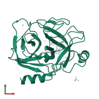 Serine protease 1 in PDB entry 1c1p, assembly 1, front view.