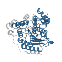 The deposited structure of PDB entry 1c3s contains 1 copy of Pfam domain PF00850 (Histone deacetylase domain) in Acetoin utilization protein AcuC. Showing 1 copy in chain A.