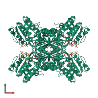 Homo tetrameric assembly 1 of PDB entry 1c3v coloured by chemically distinct molecules, front view.