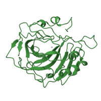 The deposited structure of PDB entry 1ccs contains 1 copy of SCOP domain 51070 (Carbonic anhydrase) in Carbonic anhydrase 2. Showing 1 copy in chain A.